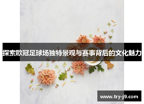 探索欧冠足球场独特景观与赛事背后的文化魅力