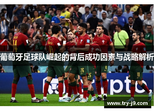 葡萄牙足球队崛起的背后成功因素与战略解析