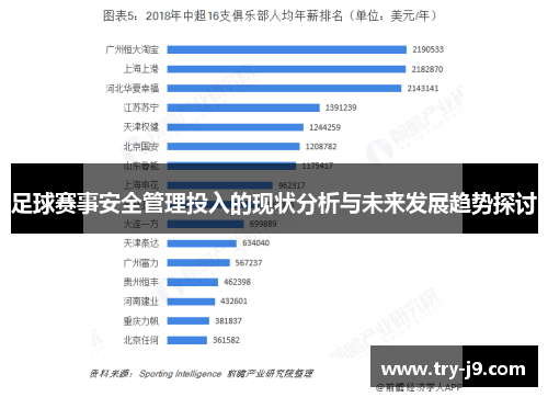 足球赛事安全管理投入的现状分析与未来发展趋势探讨