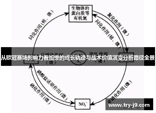 从欧冠赛场影响力看加维的成长轨迹与战术价值演变分析路径全景