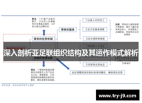 深入剖析亚足联组织结构及其运作模式解析 深入剖析亚足联组织结构及其运作模式解析