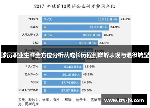 球员职业生涯全方位分析从成长历程到巅峰表现与退役转型 球员职业生涯全方位分析从成长历程到巅峰表现与退役转型