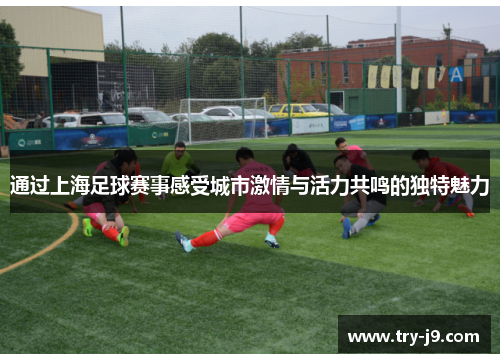 通过上海足球赛事感受城市激情与活力共鸣的独特魅力