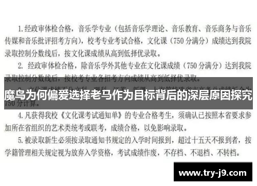 魔鸟为何偏爱选择老马作为目标背后的深层原因探究 魔鸟为何偏爱选择老马作为目标背后的深层原因探究